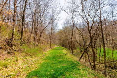 East Branch Road Lowell OH 45744
