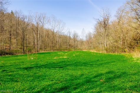 East Branch Road Lowell OH 45744