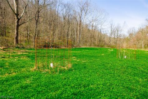 East Branch Road Lowell OH 45744