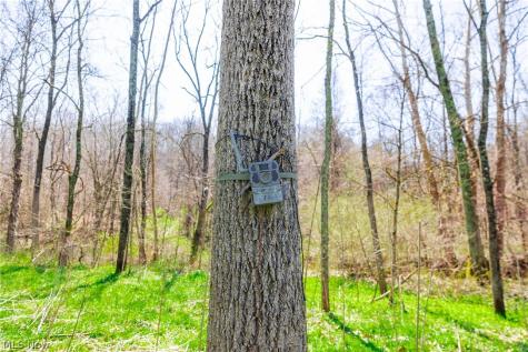 East Branch Road Lowell OH 45744