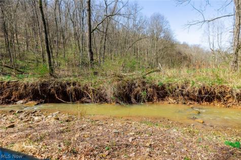 East Branch Road Lowell OH 45744