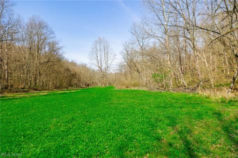 East Branch Road Lowell OH 45744