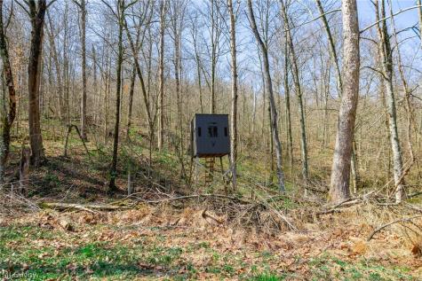 East Branch Road Lowell OH 45744
