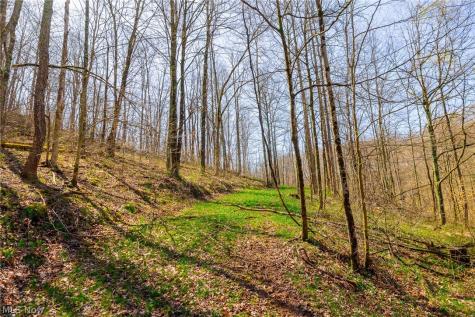 East Branch Road Lowell OH 45744
