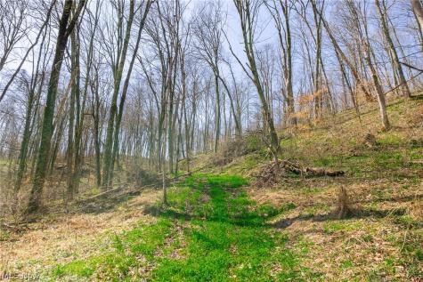 East Branch Road Lowell OH 45744