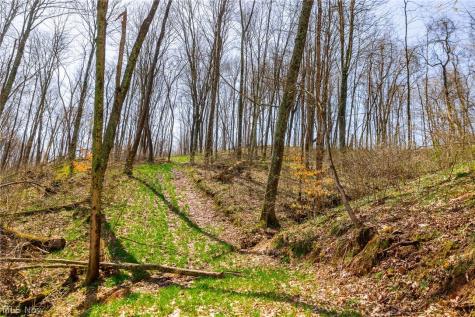 East Branch Road Lowell OH 45744