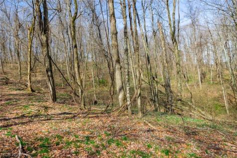 East Branch Road Lowell OH 45744