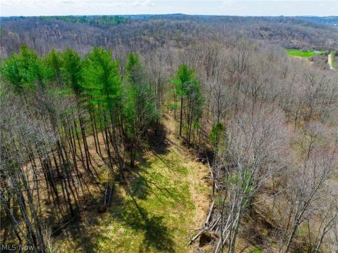 East Branch Road Lowell OH 45744