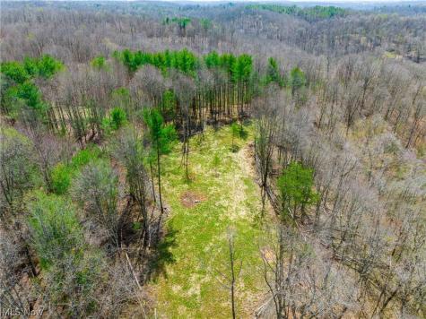 East Branch Road Lowell OH 45744