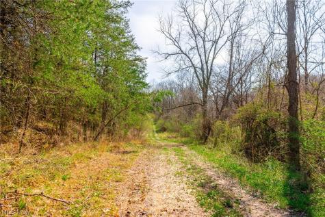 East Branch Road Lowell OH 45744