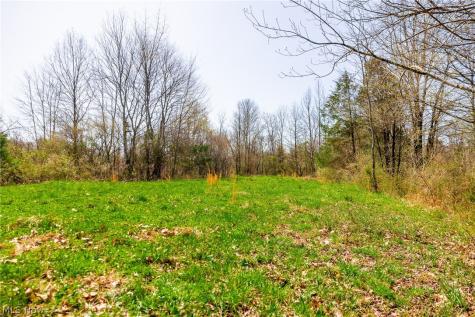 East Branch Road Lowell OH 45744