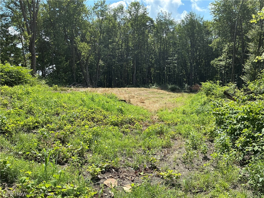 5326 Yackey Drive NW Strasburg OH 44680