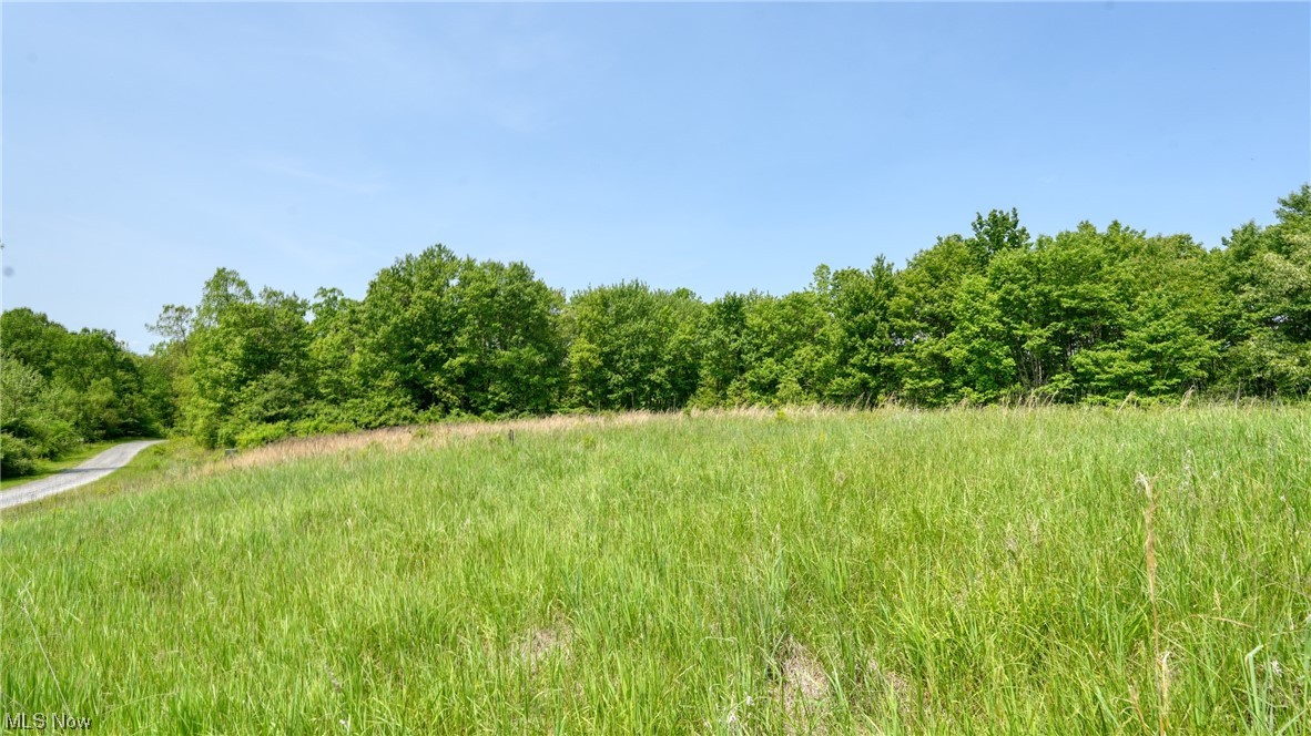 63530 Wintergreen Road Lore City OH 43755