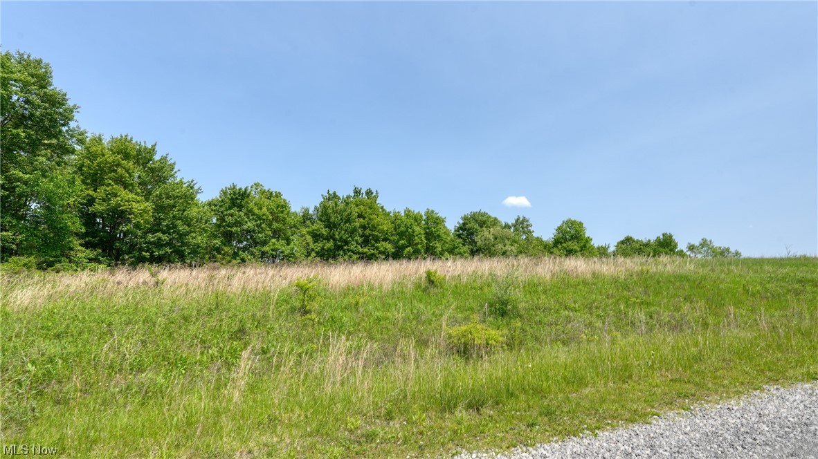 63530 Wintergreen Road Lore City OH 43755