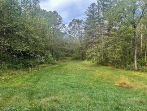 0 Tadpole Run Road Marietta OH 45750