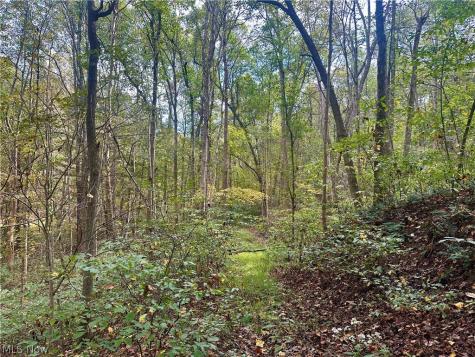 0 Tadpole Run Road Marietta OH 45750