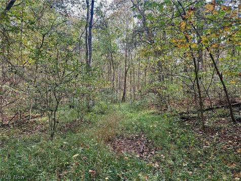 0 Tadpole Run Road Marietta OH 45750