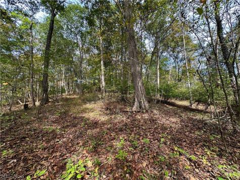 0 Tadpole Run Road Marietta OH 45750