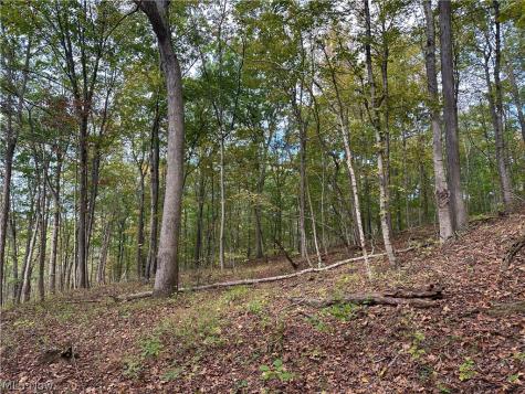 0 Tadpole Run Road Marietta OH 45750