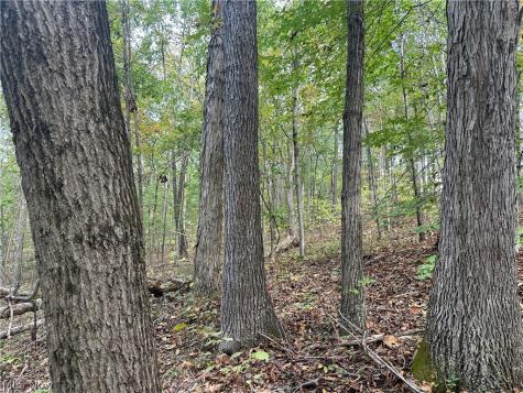 0 Tadpole Run Road Marietta OH 45750