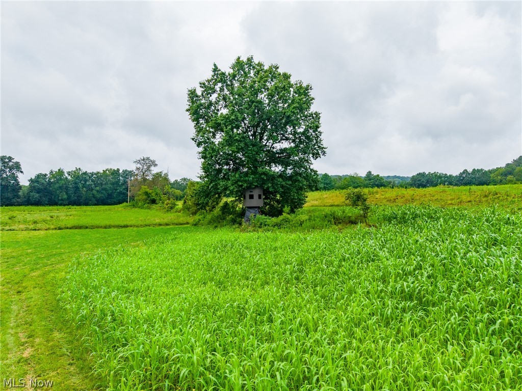 Pigeon Gap Road Cambridge OH 43725
