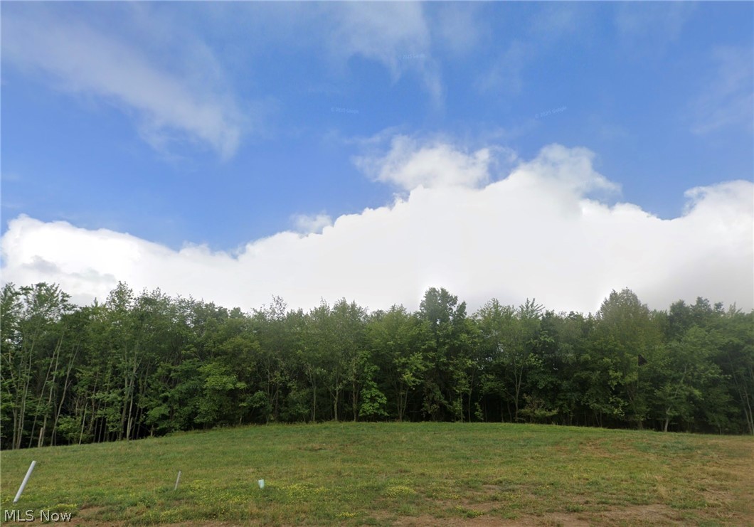 1334 Shiloh Run SE Canton OH 44709