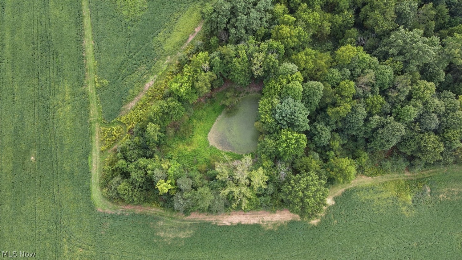 0 Township Road 653 Ashland OH 44805
