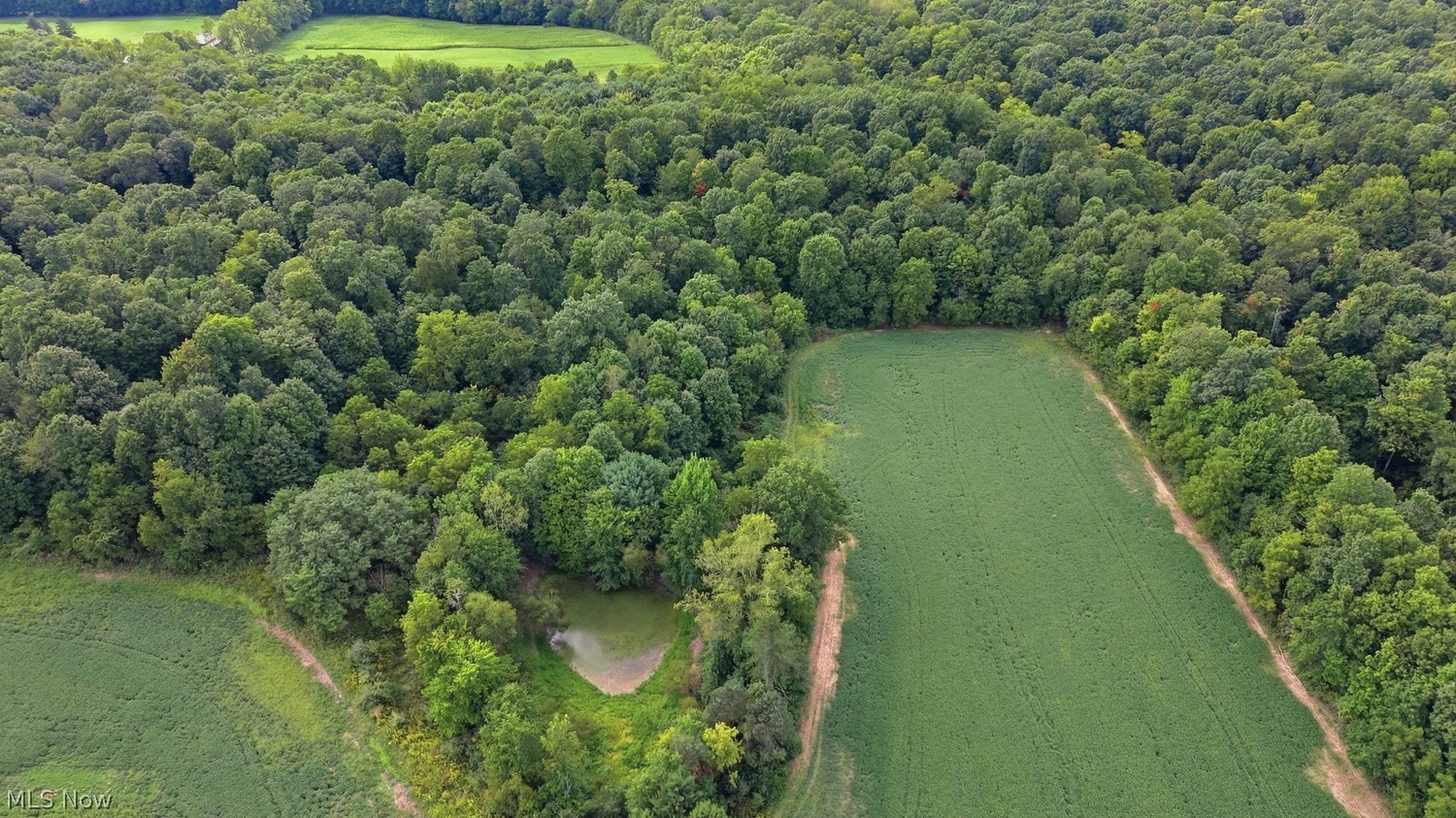 0 Township Road 653 Ashland OH 44805