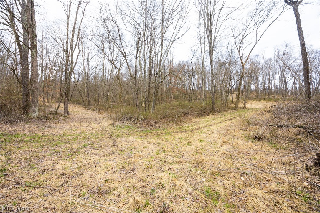 Township Road 71 Killbuck OH 44637