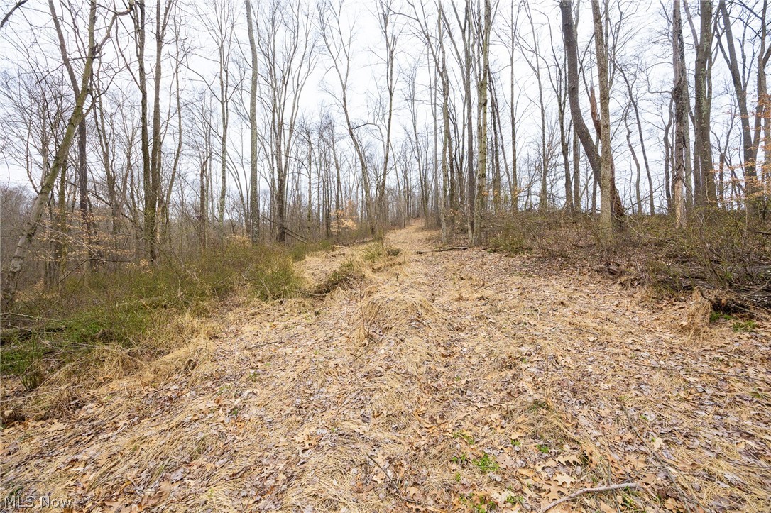 Township Road 71 Killbuck OH 44637