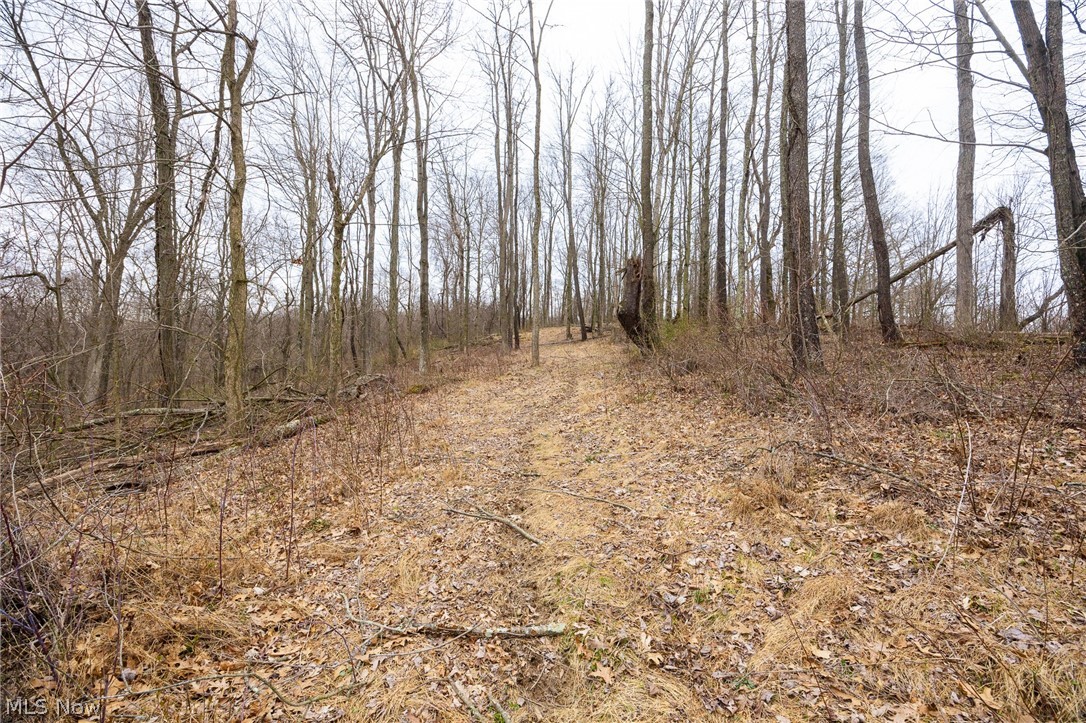 Township Road 71 Killbuck OH 44637
