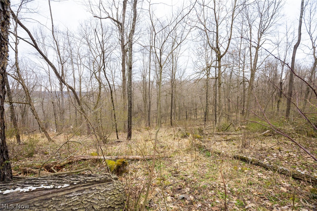 Township Road 71 Killbuck OH 44637