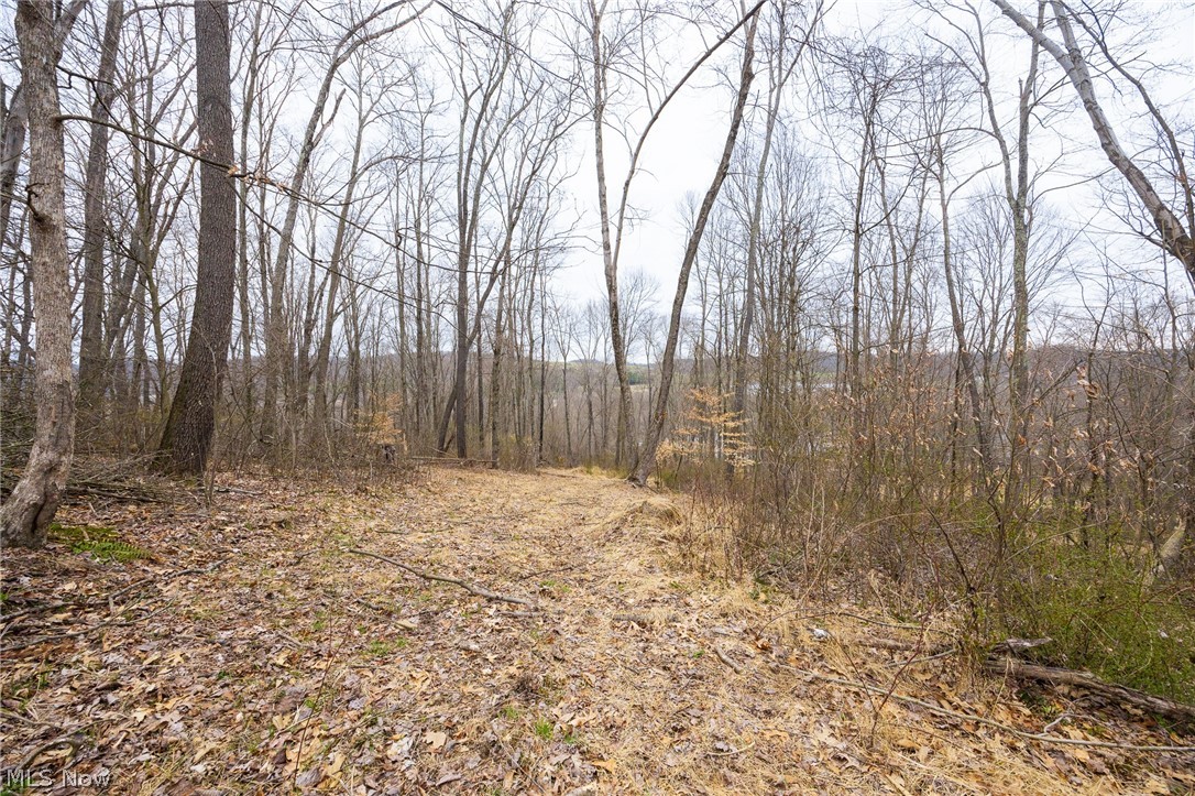 Township Road 71 Killbuck OH 44637