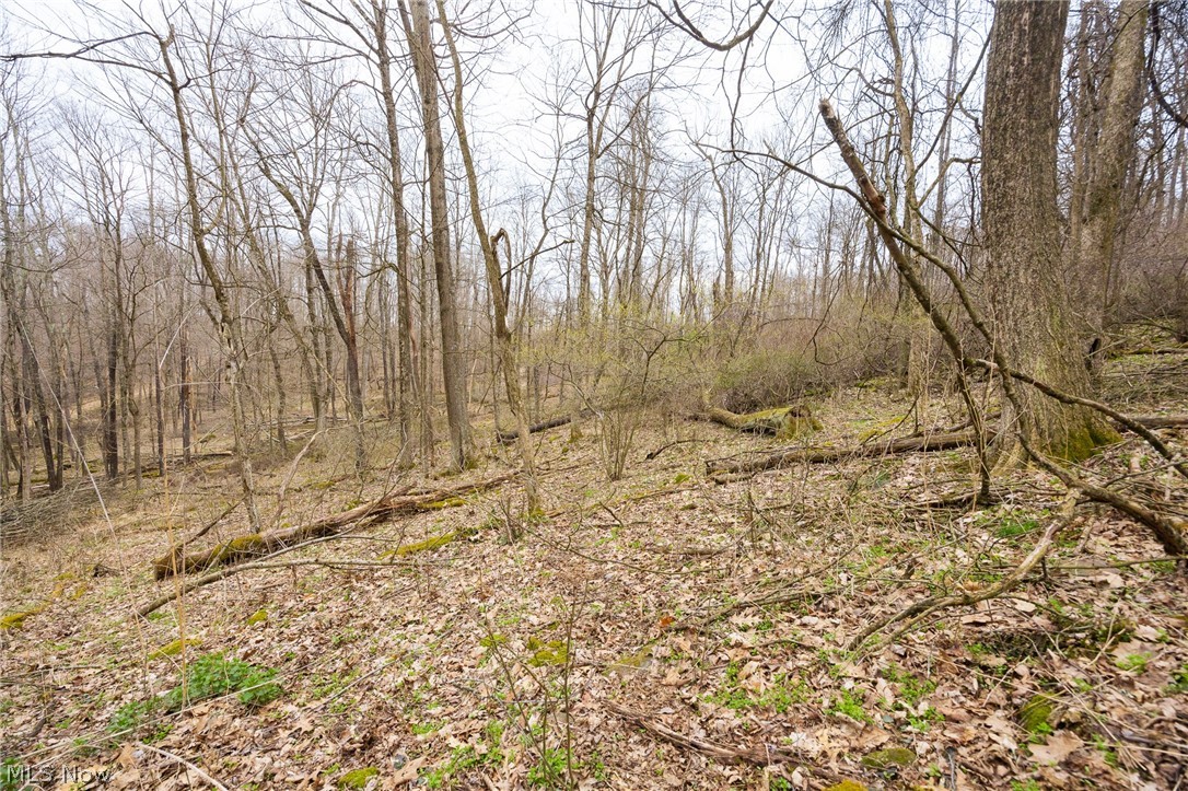 Township Road 71 Killbuck OH 44637