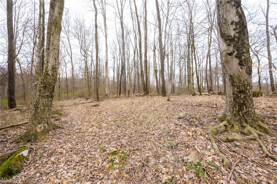 Township Road 71 Killbuck OH 44637