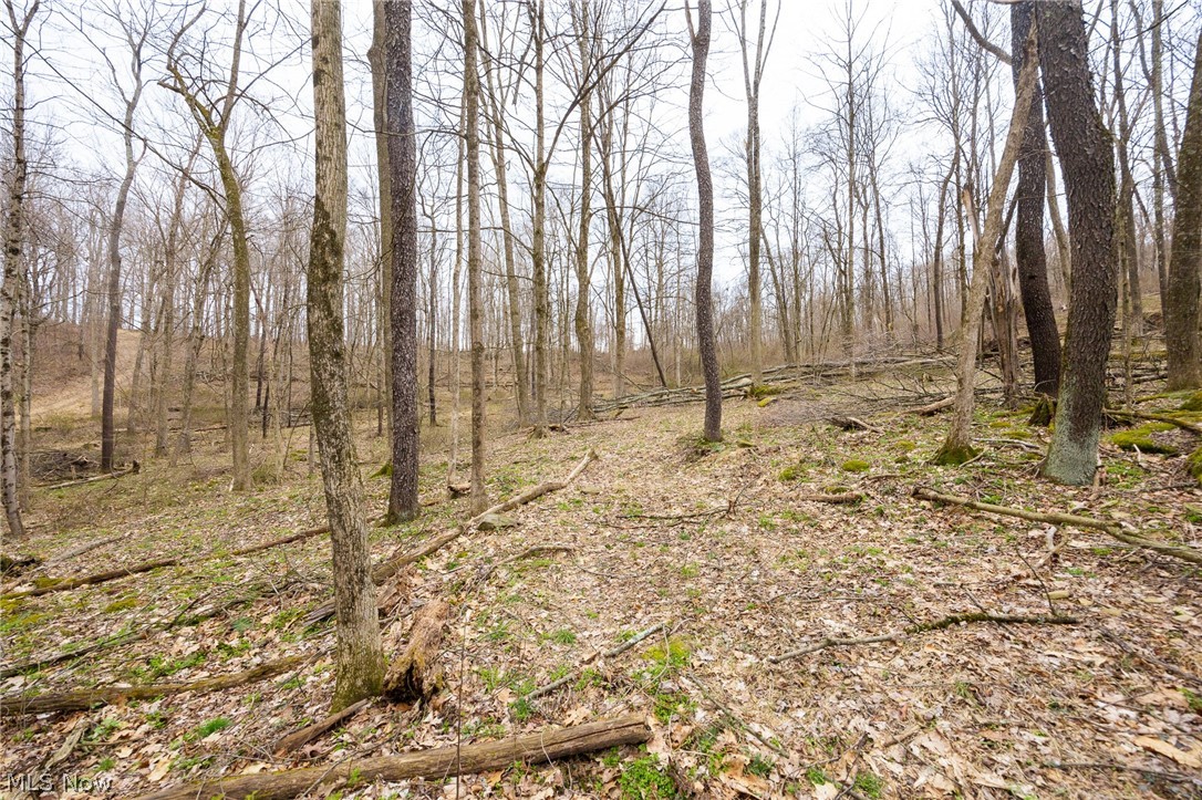 Township Road 71 Killbuck OH 44637