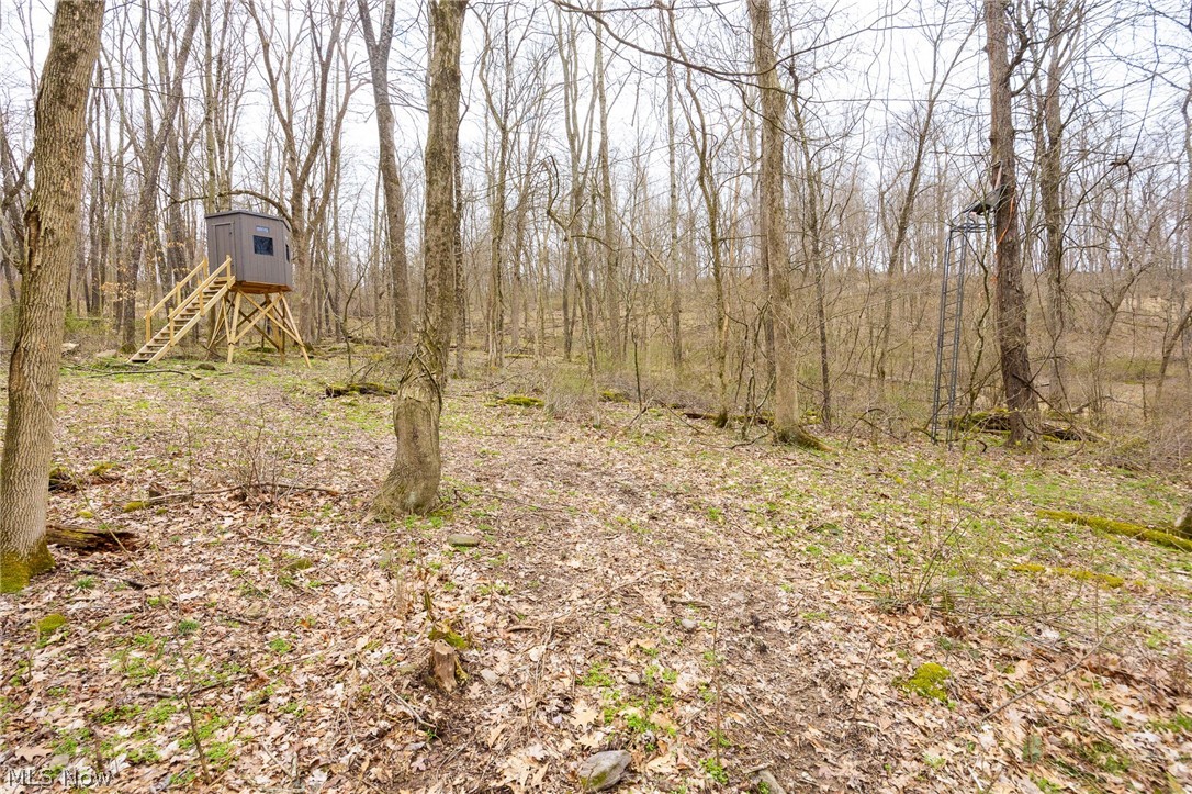 Township Road 71 Killbuck OH 44637