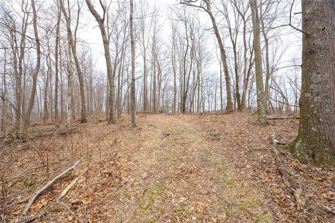 Township Road 71 Killbuck OH 44637