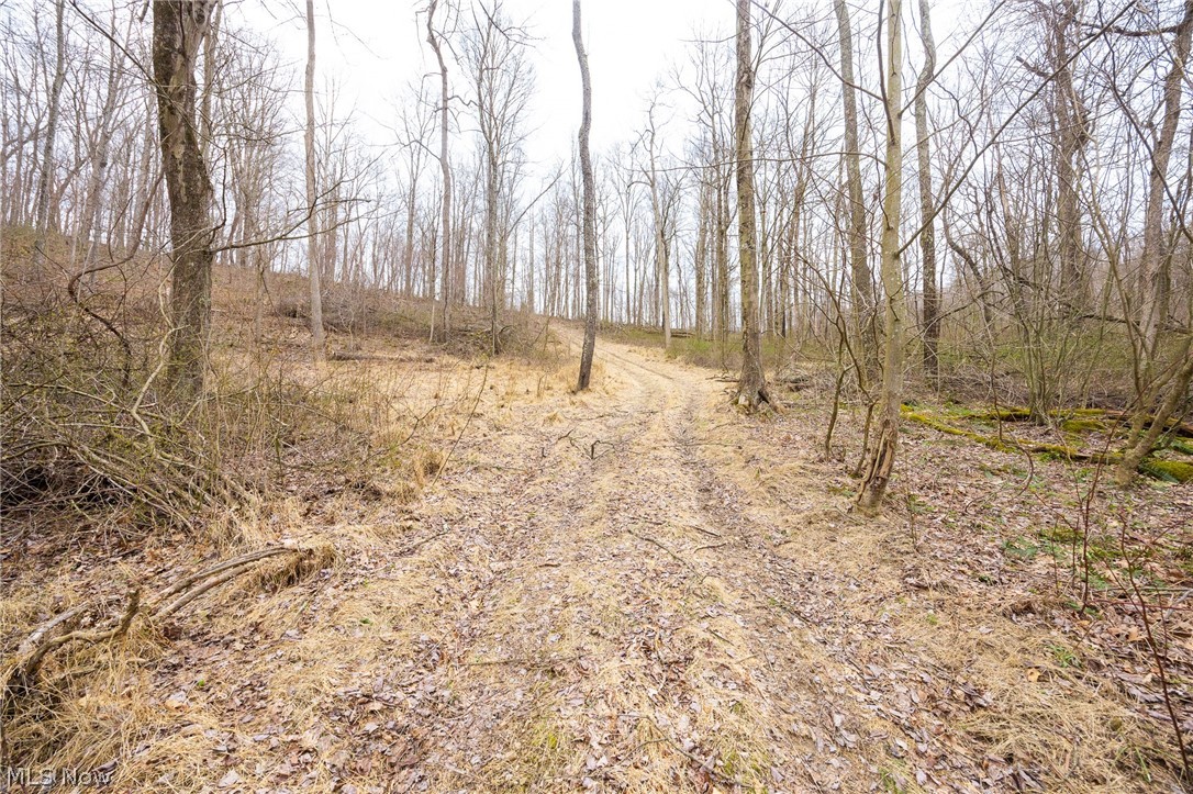 Township Road 71 Killbuck OH 44637