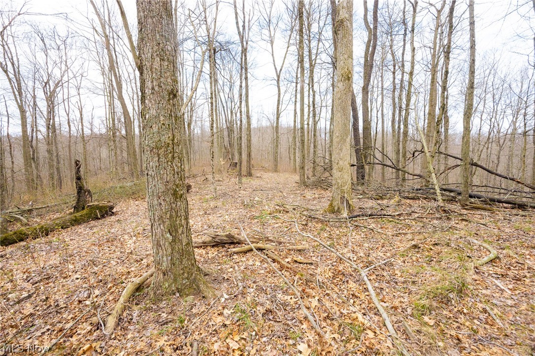 Township Road 71 Killbuck OH 44637