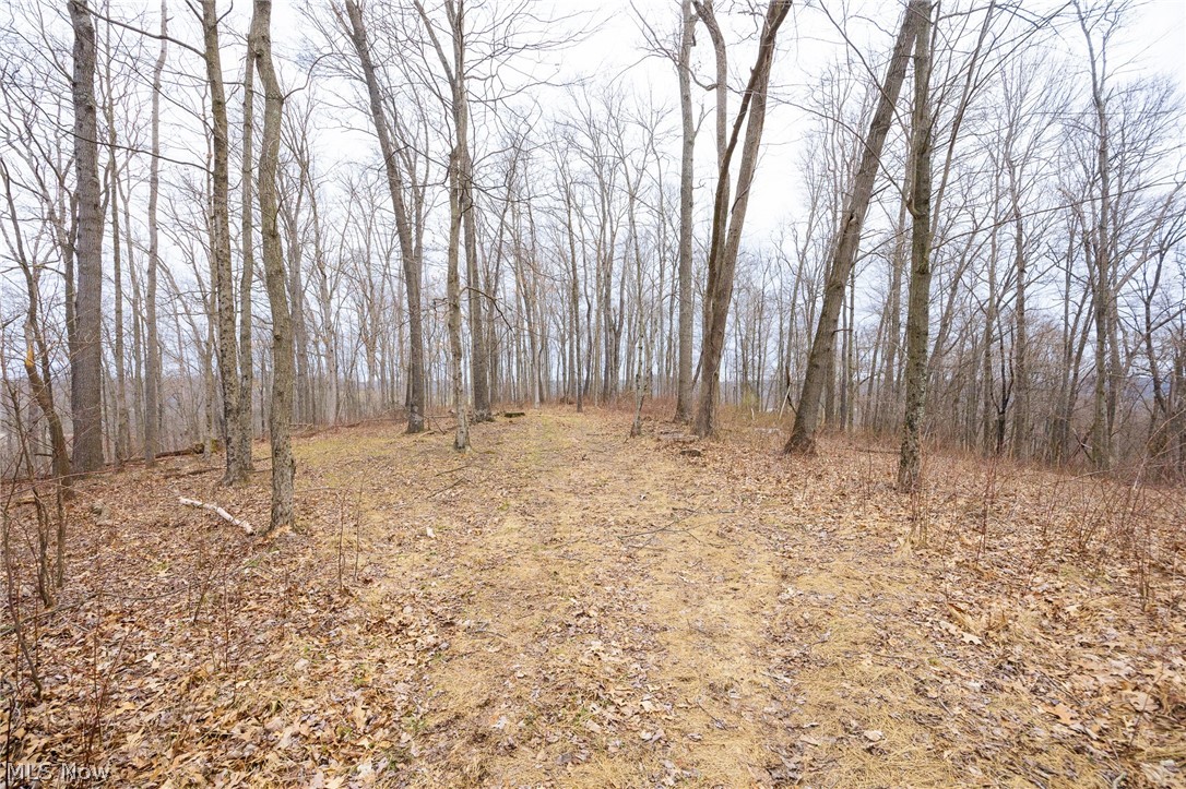 Township Road 71 Killbuck OH 44637
