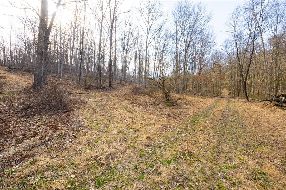 Township Road 71 Killbuck OH 44637