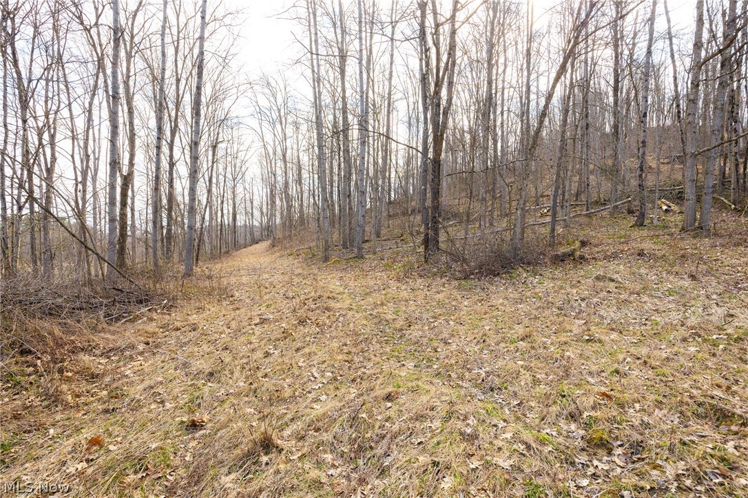Township Road 71 Killbuck OH 44637