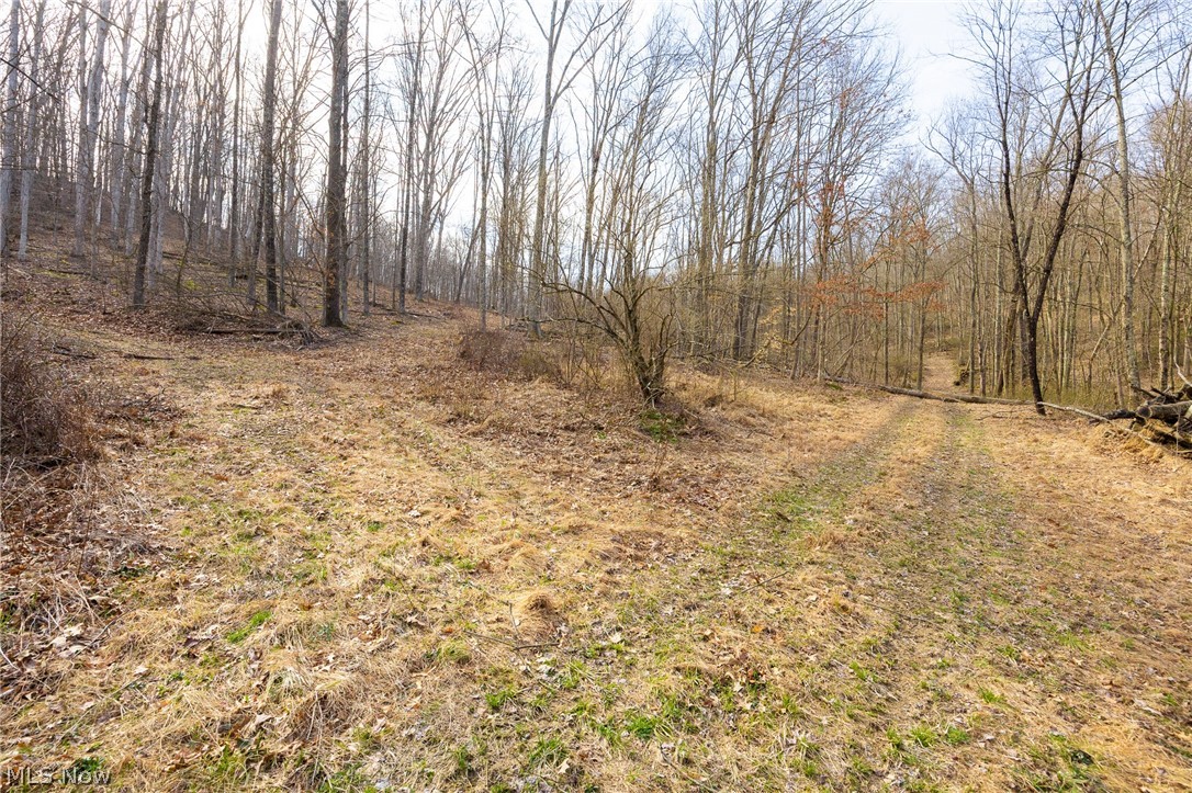 Township Road 71 Killbuck OH 44637