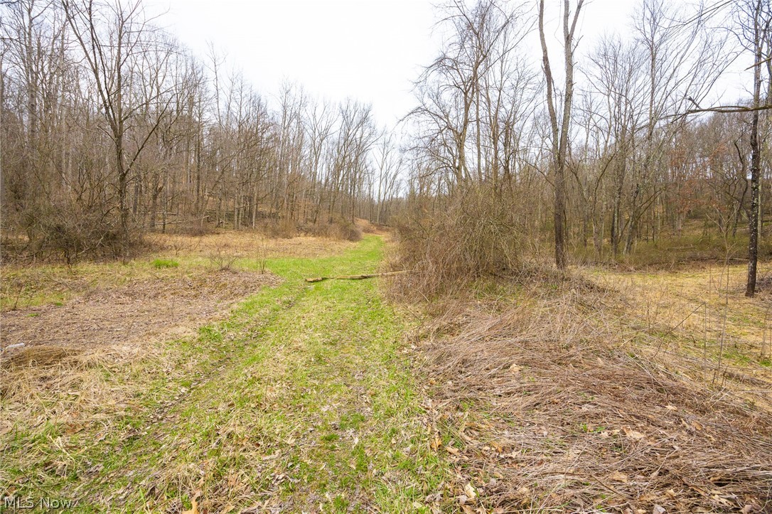 Township Road 71 Killbuck OH 44637