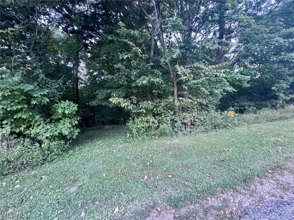 0 Tarkman Drive Nashport OH 43830