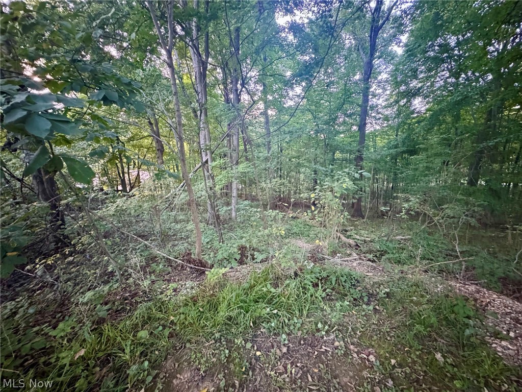 0 Tarkman Drive Nashport OH 43830