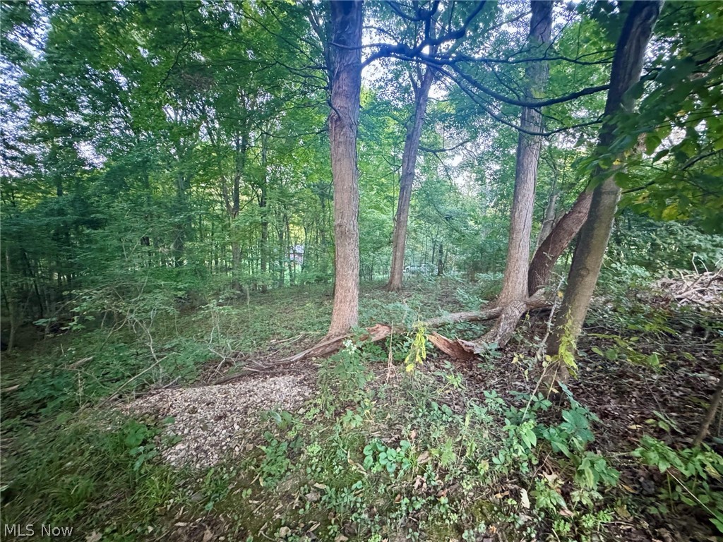 0 Tarkman Drive Nashport OH 43830