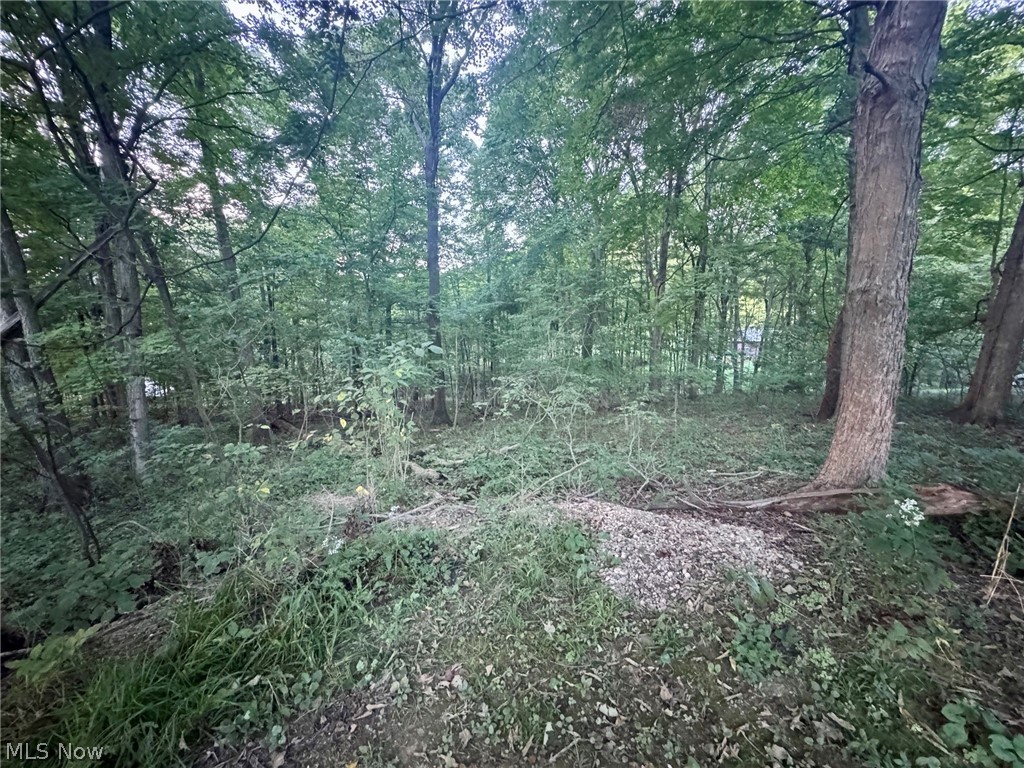 0 Tarkman Drive Nashport OH 43830