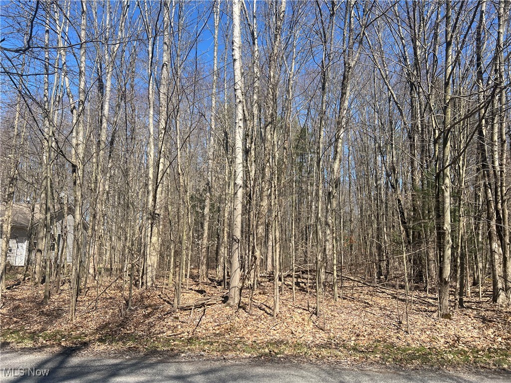 2107 N Park Lane Roaming Shores OH 44084